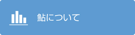 鮎について