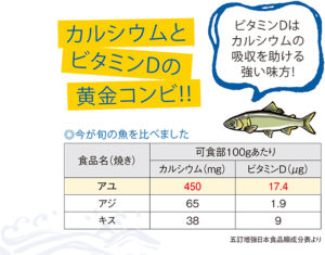 旬の鮎栄養価